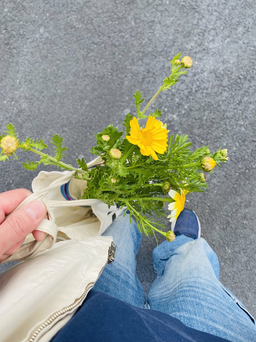 お金は無いけど、豊かな生活とは思っている。けど、いつまでそういられるかはハテナ！