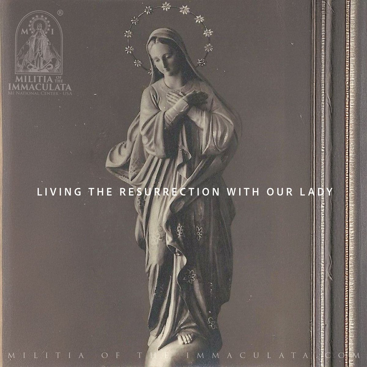 Militia Of The Immaculata - Official USA tweet media