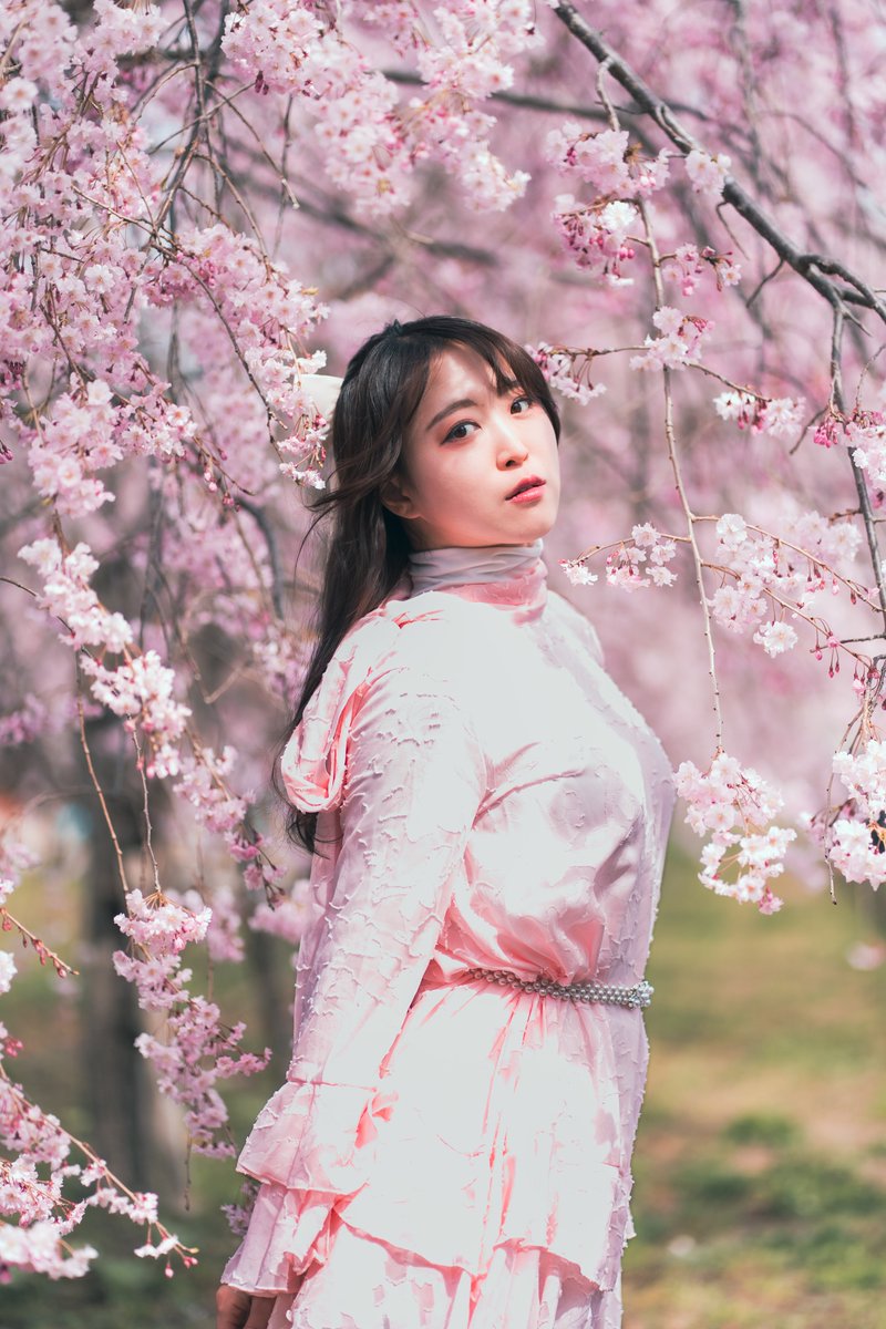 空乃Mikan tweet media