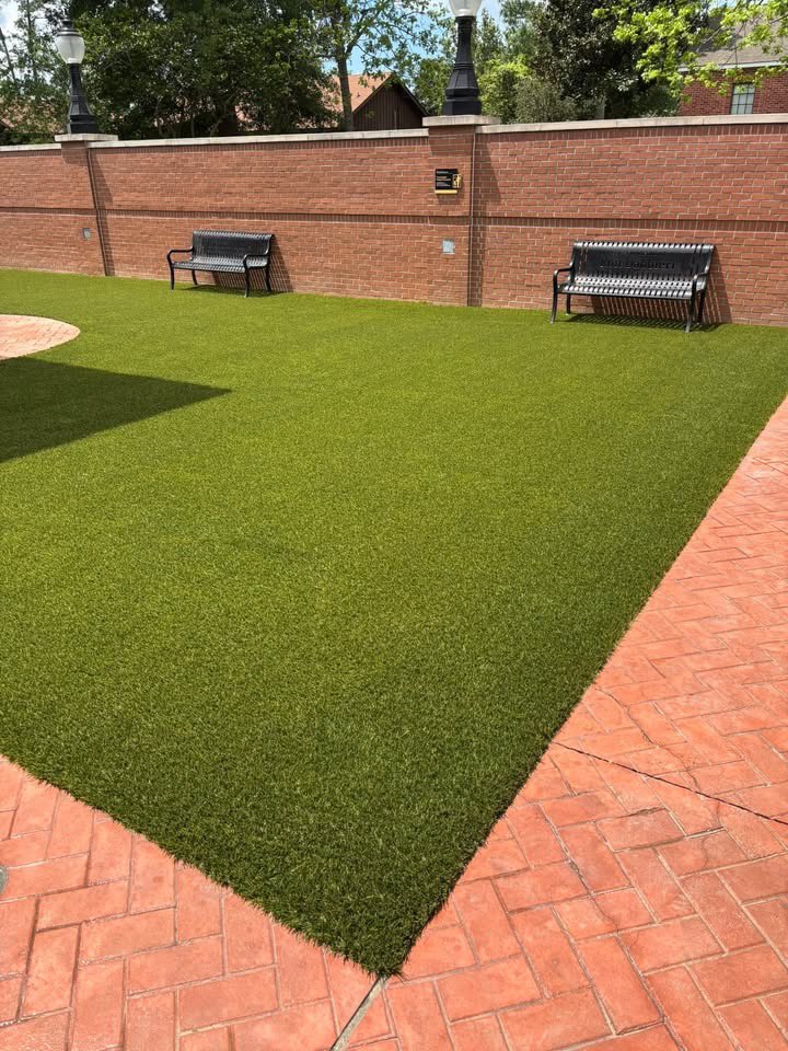 We’ve had some work done in our courtyard. Here’s some before and after photos!