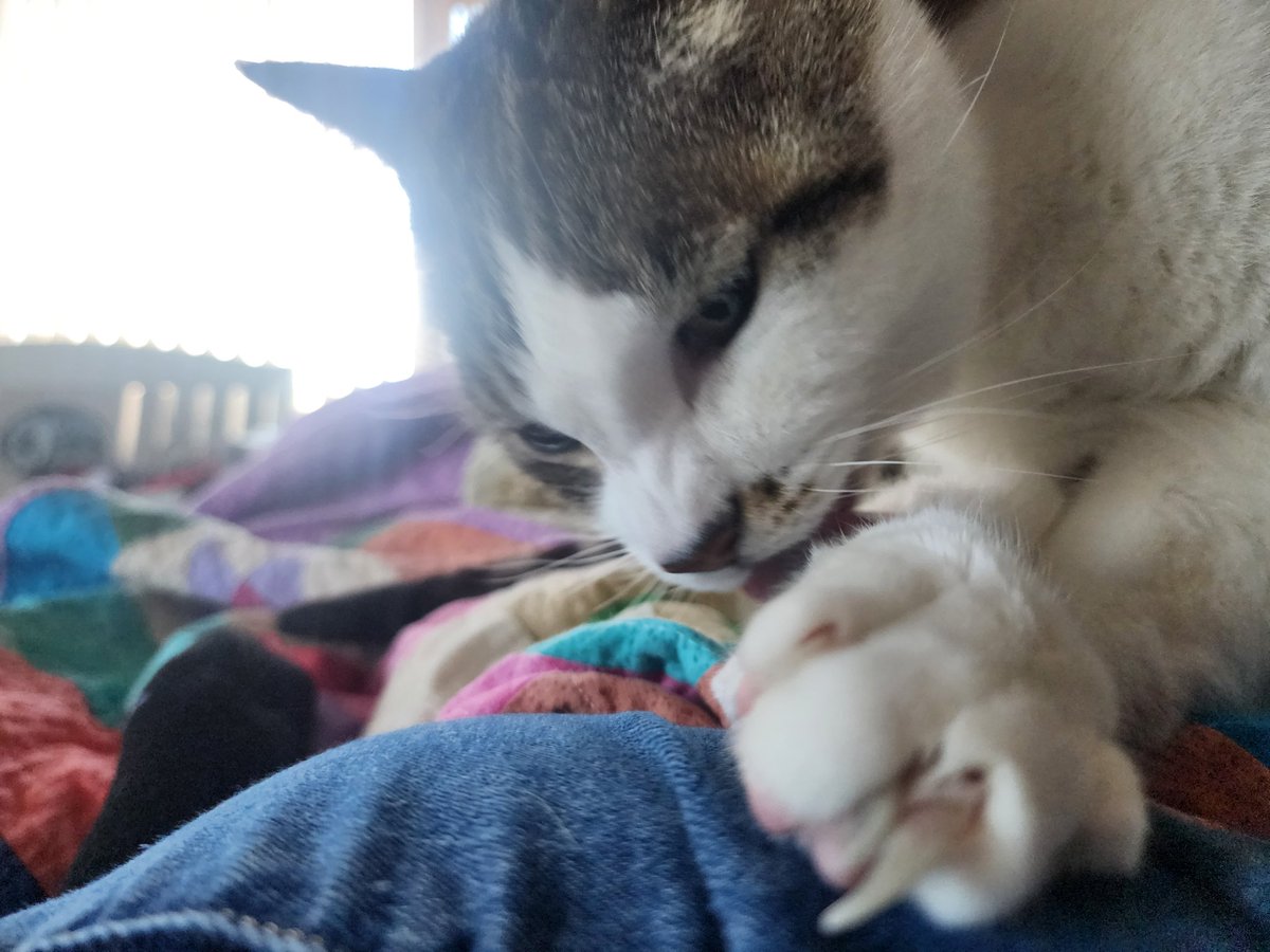 Finchtheidiot tweet media