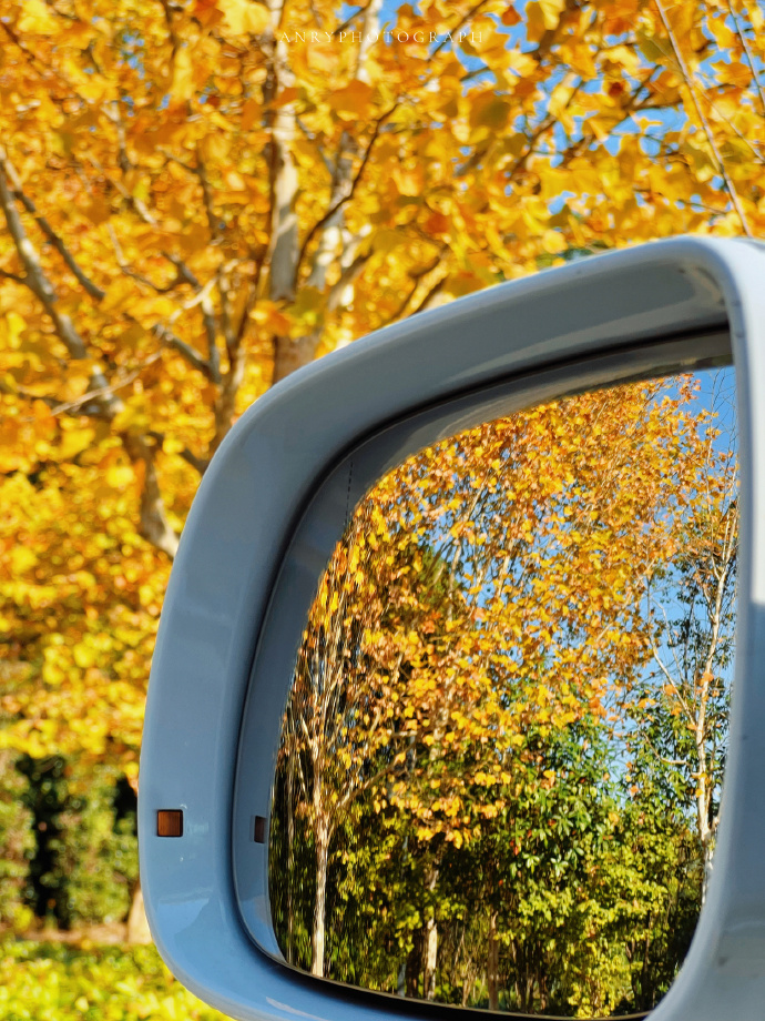 Venkatesan D tweet media