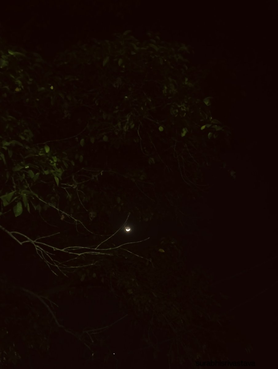 i_surabhiS's tweet image. "The magic of the night."🌿🌙
#MoonMagic