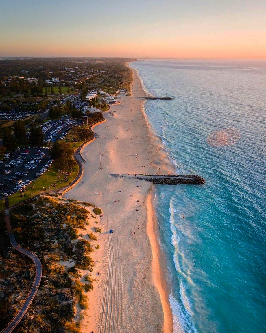 Nature Focus tweet media