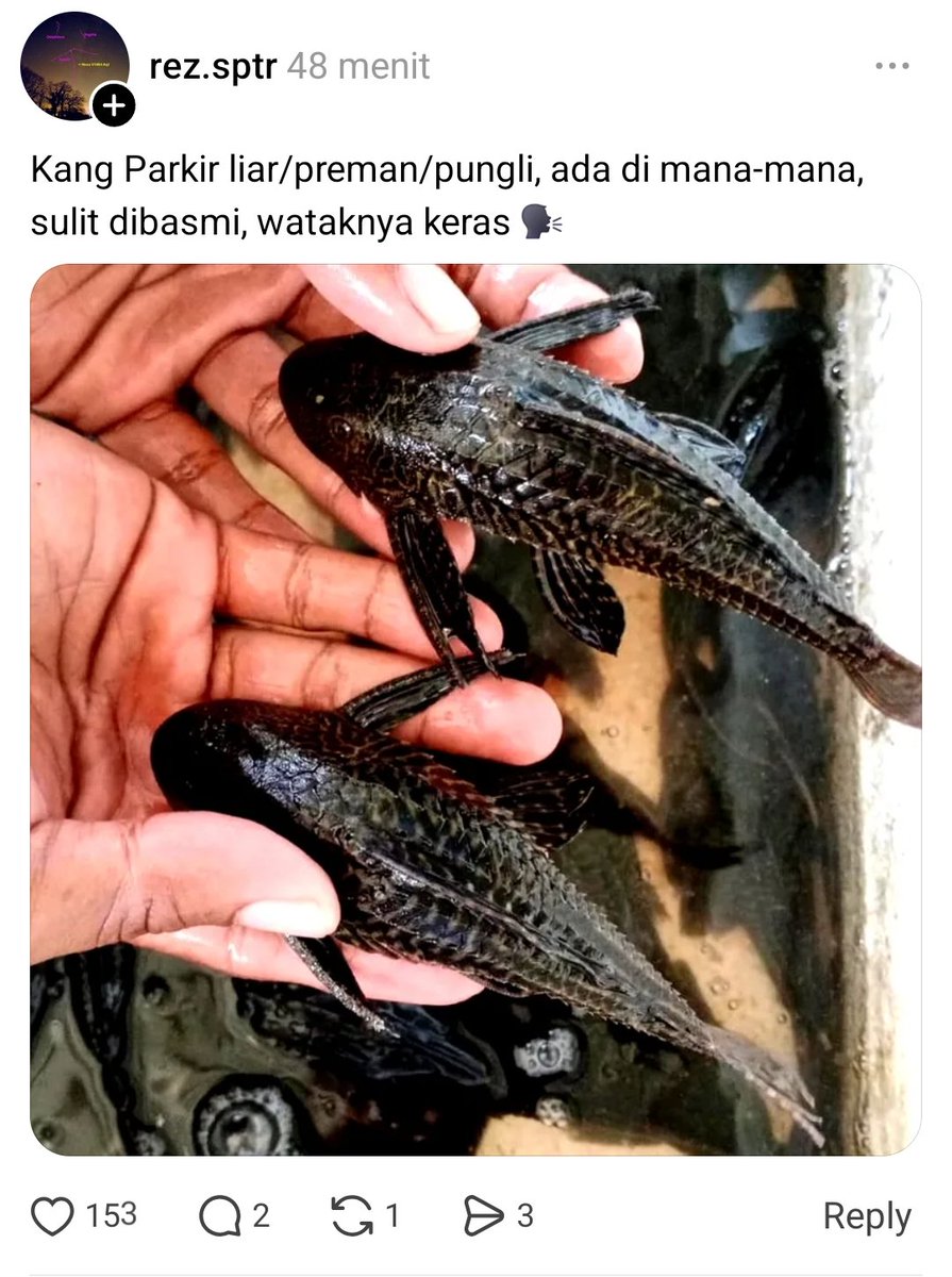 Burung Biru🕊 tweet media