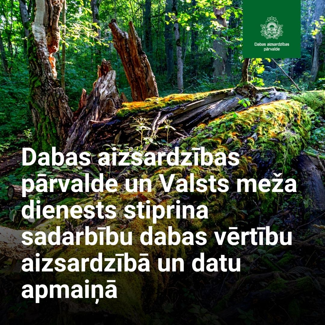 dabaDAP's tweet photo. Lai veicinātu efektīvāku dabas resursu apsaimniekošanu un operatīvāku informācijas apmaiņu, Dabas aizsardzības pārvalde (DAP) un Valsts meža dienests (VMD) noslēguši divus jaunus sadarbības līgumus: https://t.co/GhoN0Xy8Xr. https://t.co/CwnAZjs8Te