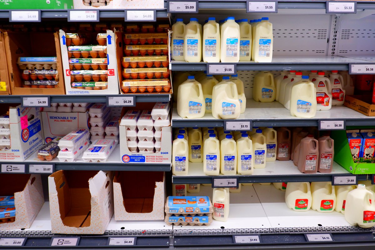 NewYorkCity.de tweet media