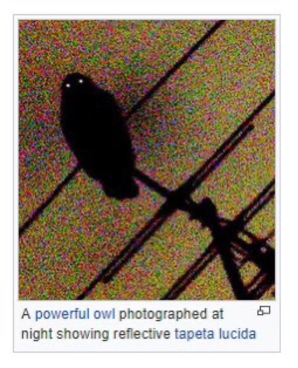 ☤ (@nothingdooer) on Twitter photo 