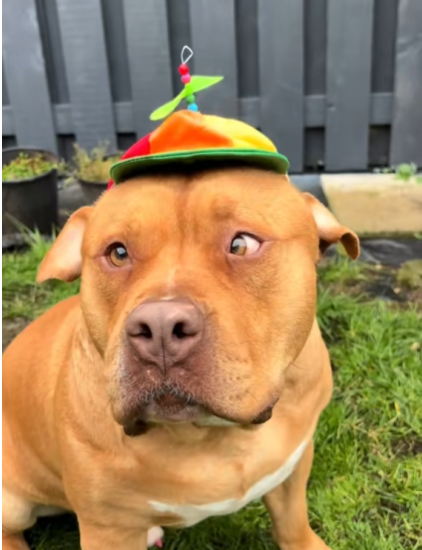 Trending Tab Quant tweet media