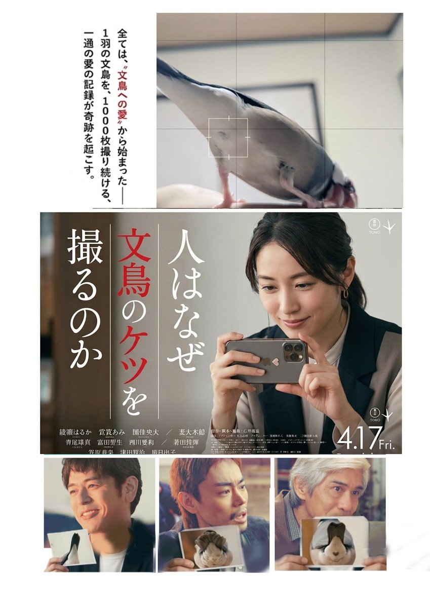 XL文鳥 tweet media