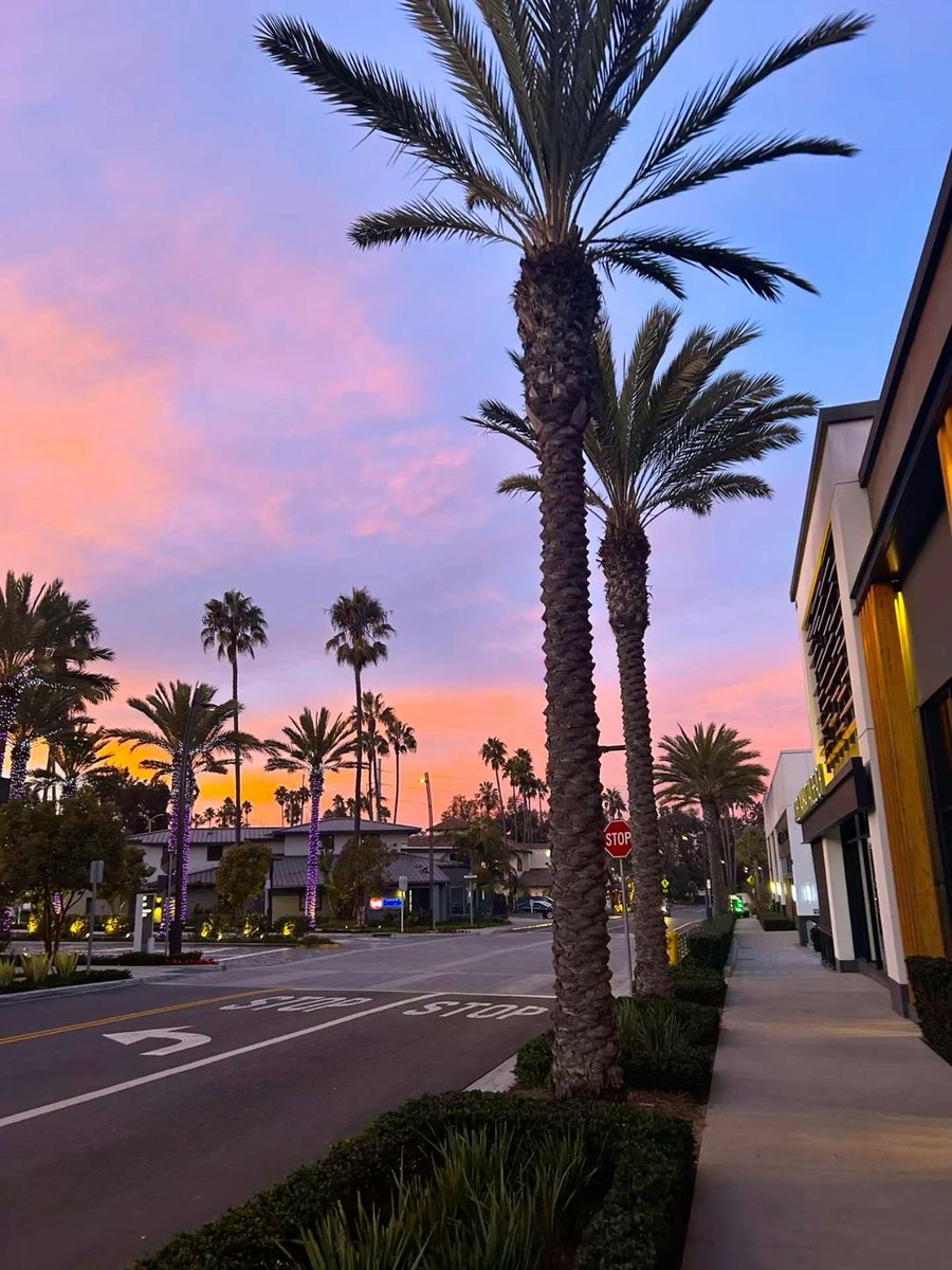 HeavenOnEarth tweet media