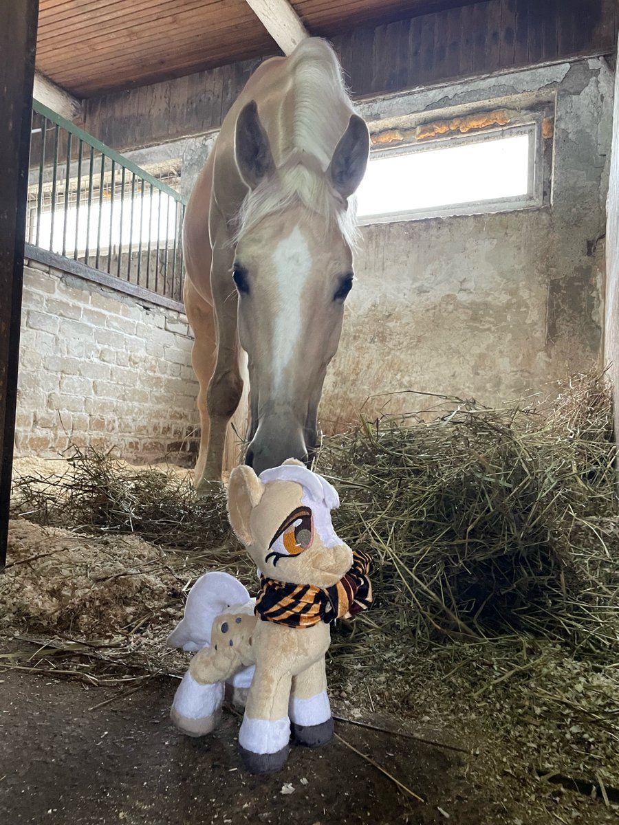 1stAstraStudio's tweet image. Our plush pony has arrived home and meets with her elder horse sister 😆

#crafting #craft #handmade #plushie #plush #pony #mlp #mylittlepony