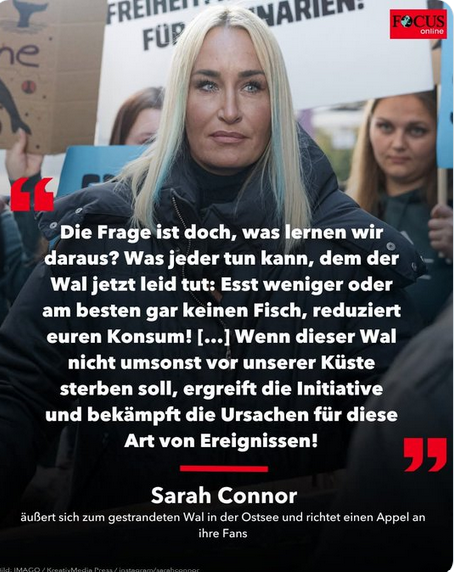 Ganesha 🇩🇪🇮🇳 tweet media