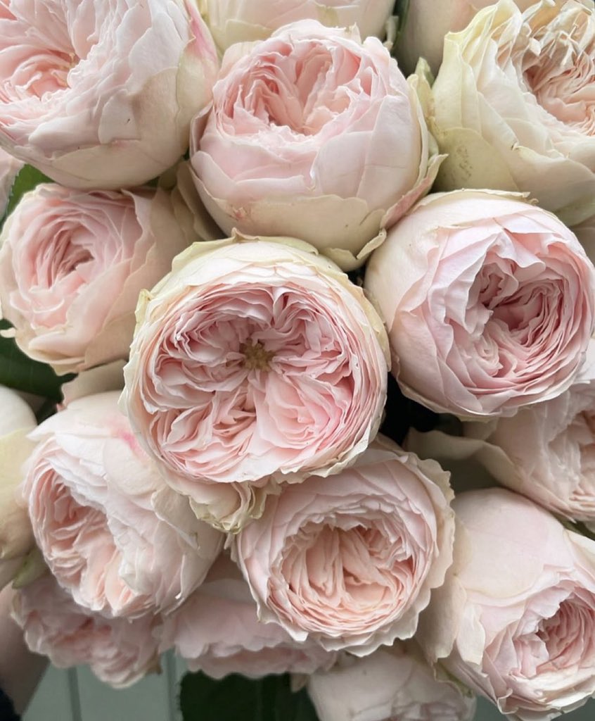 🎩Laird of the Manor 2.0🎩 tweet media