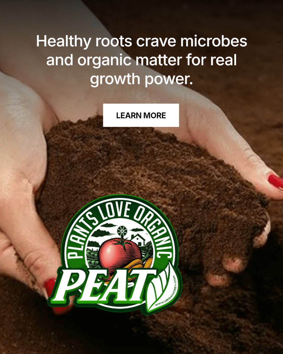 RevOrganic's tweet image. Think fertilizer alone saves your roots? Think again. Healthy roots need more. Microbes and organic matter boost nutrient uptake and resilience. Feed the soil, not just the plant.

Learn More linktr.ee/OrganicREV #Seedstarting #soilhealth