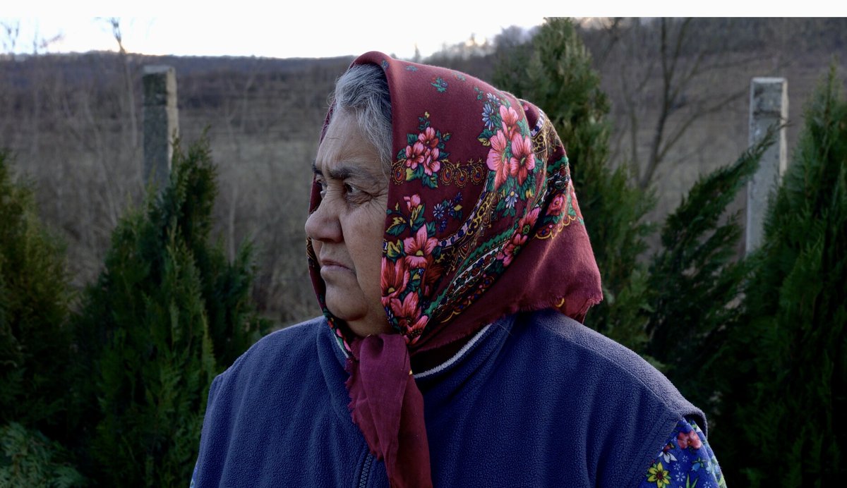 AestheticaFilmFest tweet media