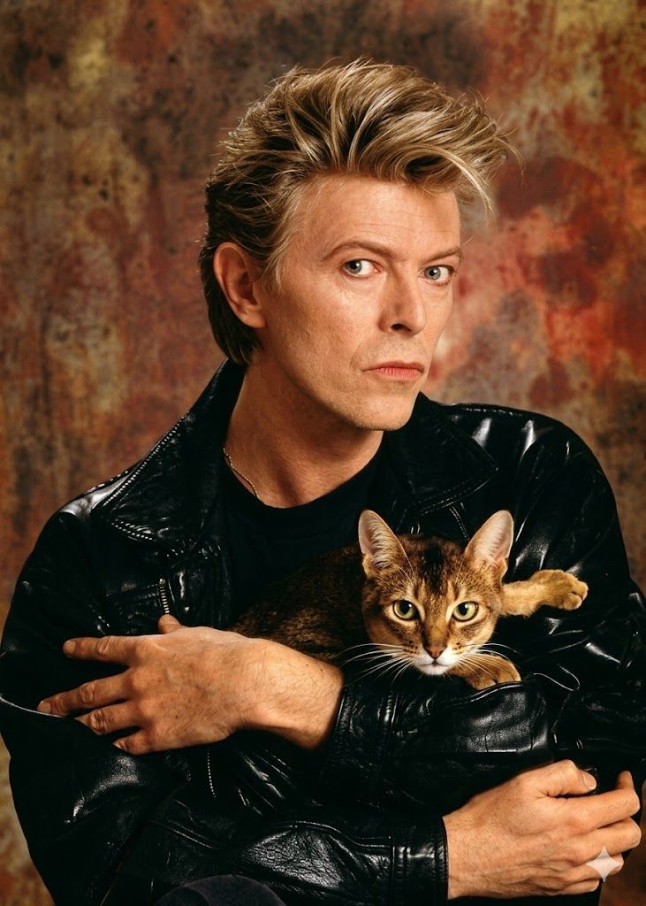 Classic Rock In Pics tweet media
