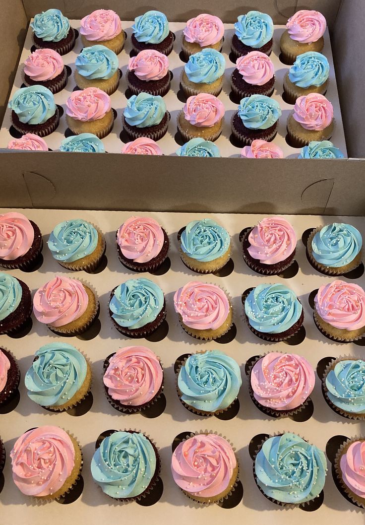 Lucy Gillman tweet media