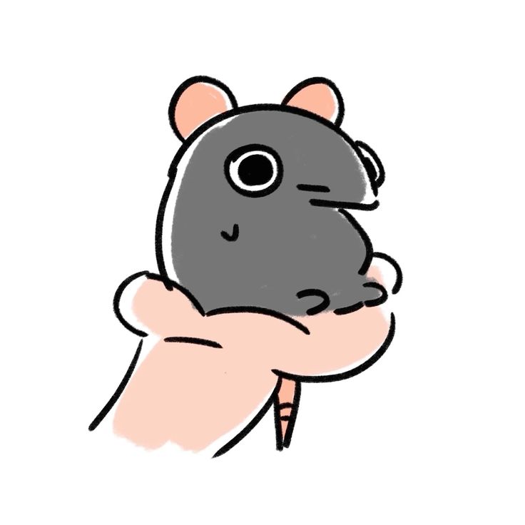 Nox Rattus ⚖️ tweet media