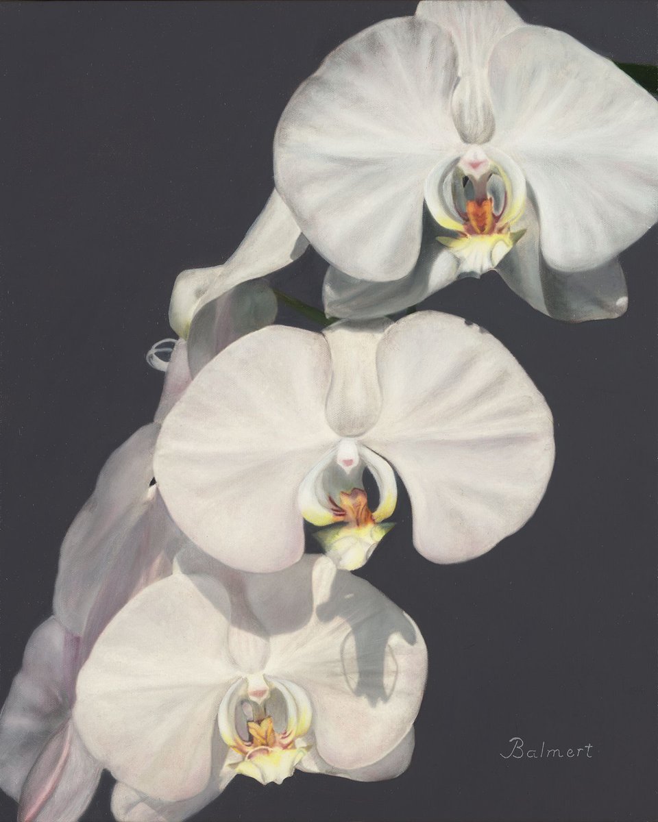 AmsterdamWhitny's tweet image. NANCY BALMERT OFFERS A SPRINGTIME FLORAL BOUQUET WITH HER JUNE 6TH EXHIBITION! Save the Date along with Champagne Toasts. Saturday, June 6th, 2:00-4:00 pm. #Exhibitions #SpringArt #Contemporaryart #ArtforSale #Chelseagalleries #Chelseaart #Spring #MothersDay #Chelsea #highline