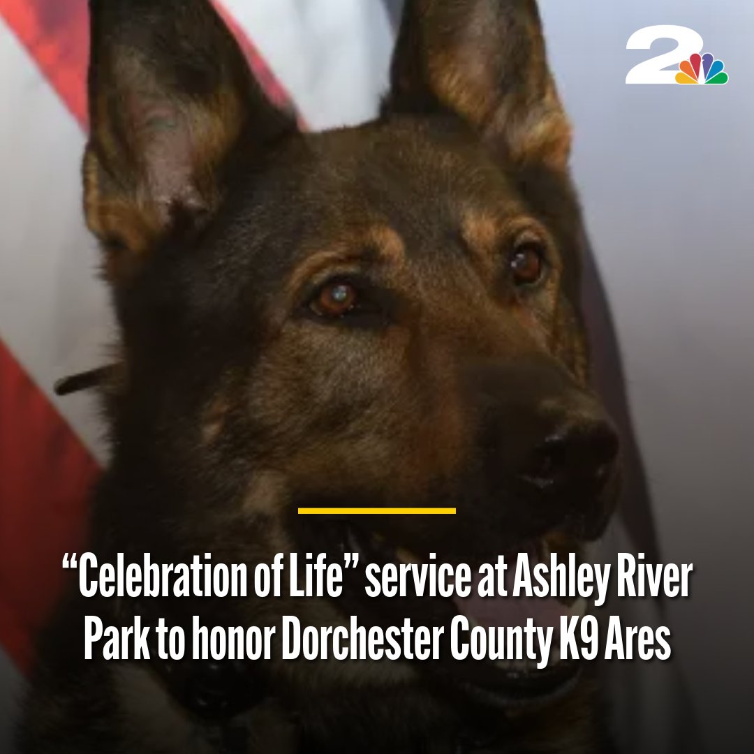 WCBD News 2 | Count on 2 tweet media