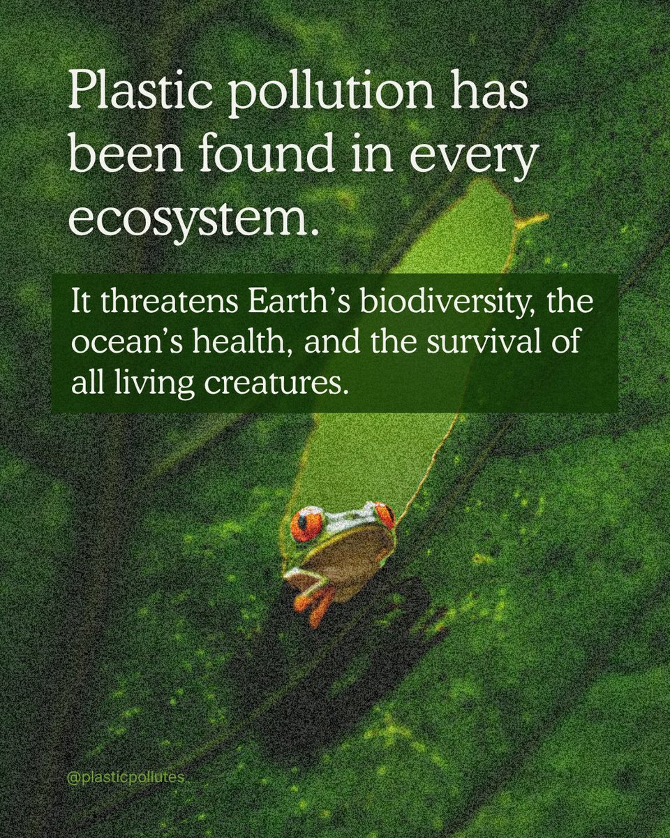 🖼️ Plastic is pollution by design. Instead of decomposing into the Earth, it actually just breaks up into smaller pieces, along with its toxic chemicals, polluting people and the planet.

🌳 Join us this Earth Week and beyond to hold polluters accountable, advocate for strong