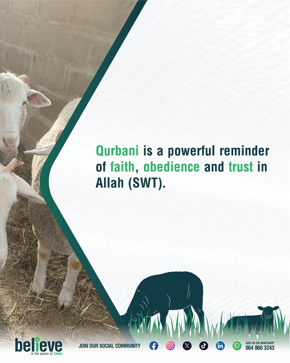 SANZAFSA's tweet photo. What is Qurbani really about? 💭🐑

It’s more than a sacrifice, it’s a powerful act of faith, obedience and drawing closer to Allah (SWT).

📖 Read more: https://t.co/K2bMe6BSyf

#SANZAF #Qurbani #EidUlAdha #IslamicGuidance #Udhiyah https://t.co/Sa5ievu7Md