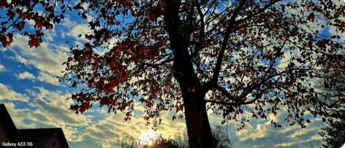 Crawford Bill 🇺🇸 tweet media