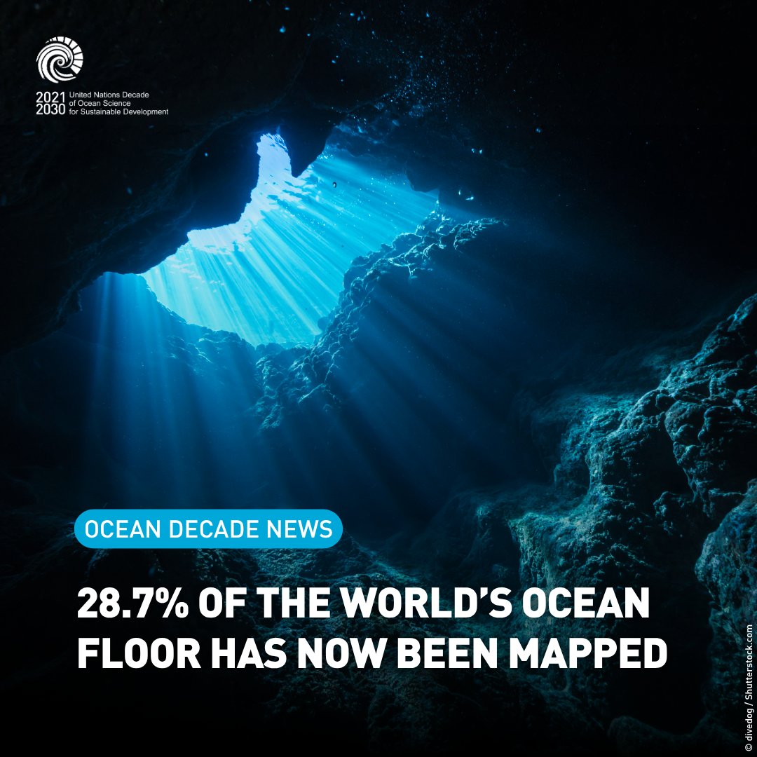 UN Ocean Decade tweet media