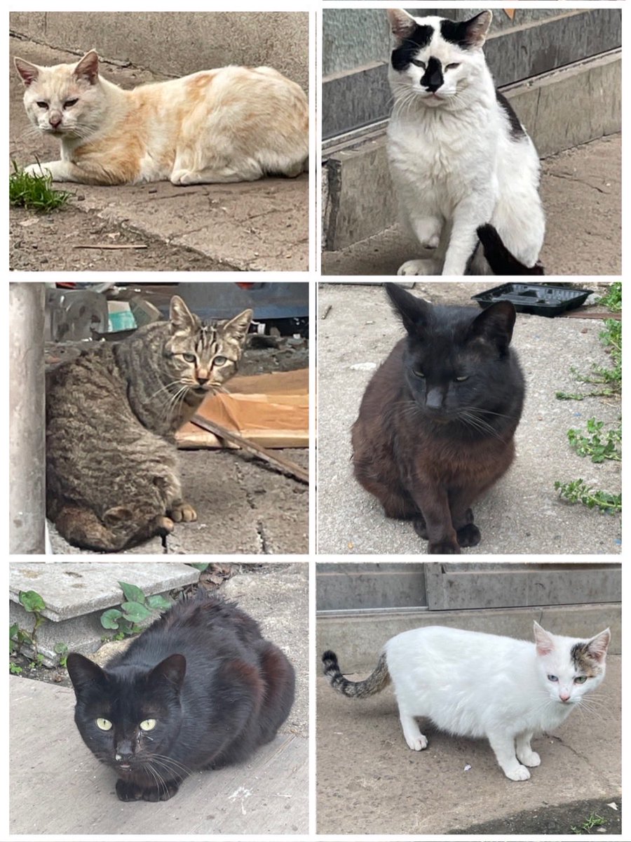 新玉旅館【公式】 tweet media