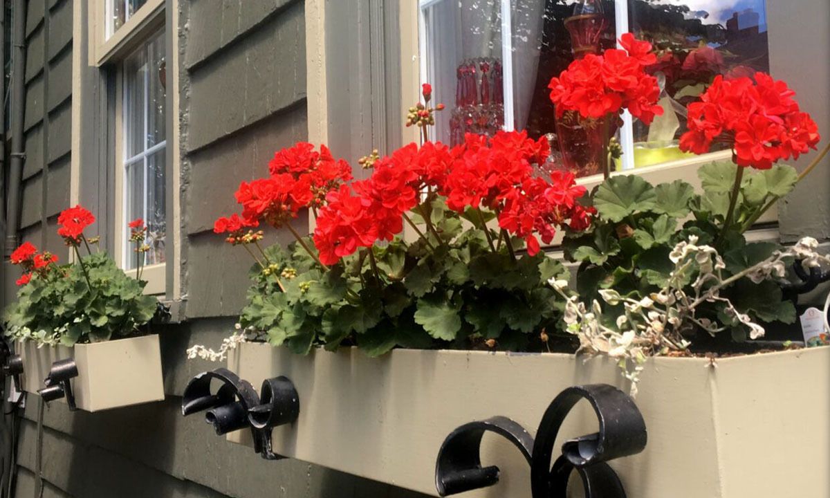 halifaxbloggers's tweet image. For his last years Tony Saulnier was a treasured resident of the Schmidtville Heritage District, and those who knew him will be telling Tony stories for the rest of their lives. Here are Stephen Archibald's:

halifaxbloggers.ca/noticedinnovas…

#halifax #novascotia #history @Cove17