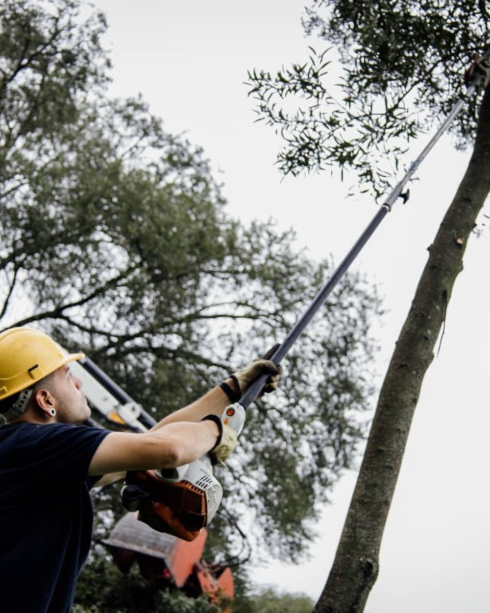 Servicios Urbanos Mar del Plata tweet media