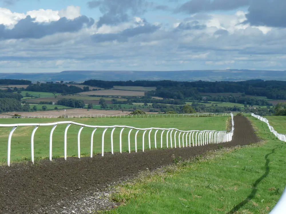 HistoryandHeritageYorkshire tweet media