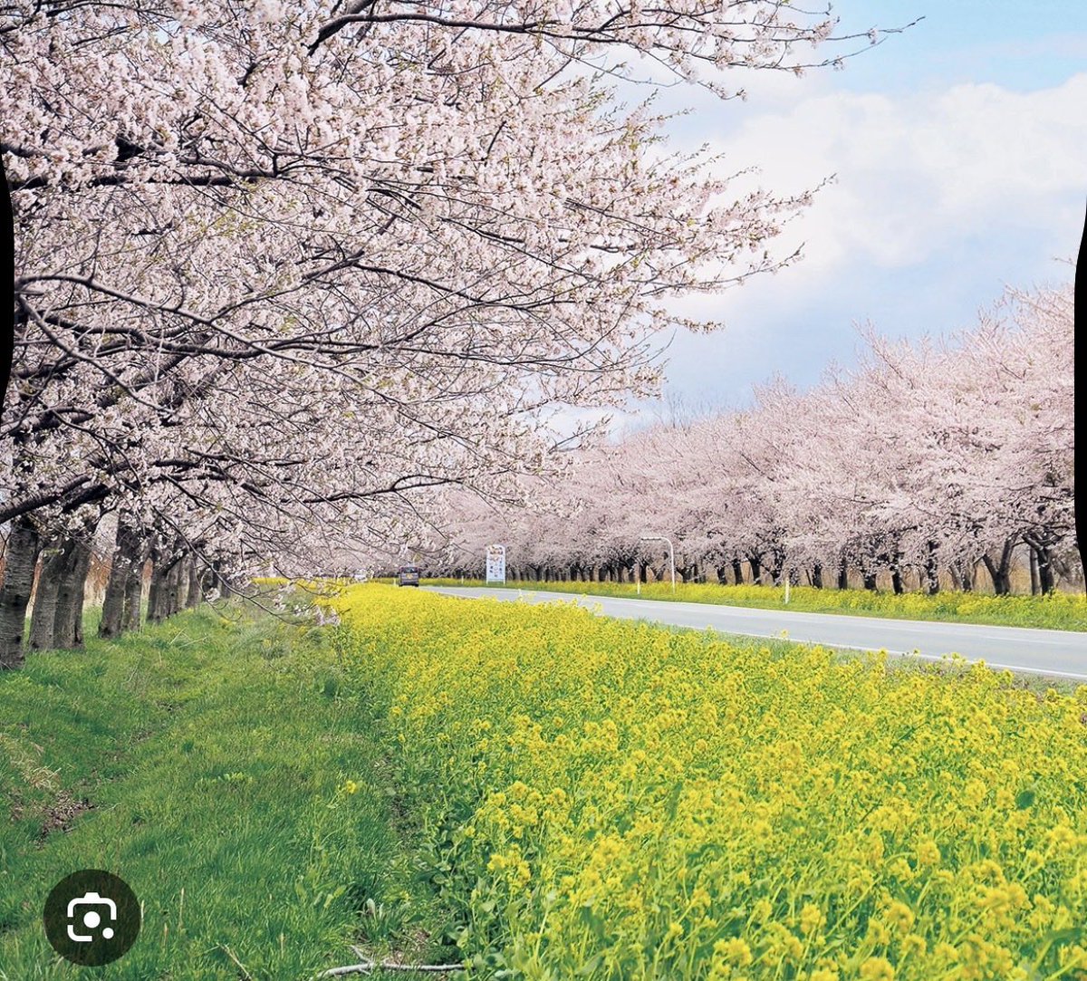 アキモンだもん tweet media