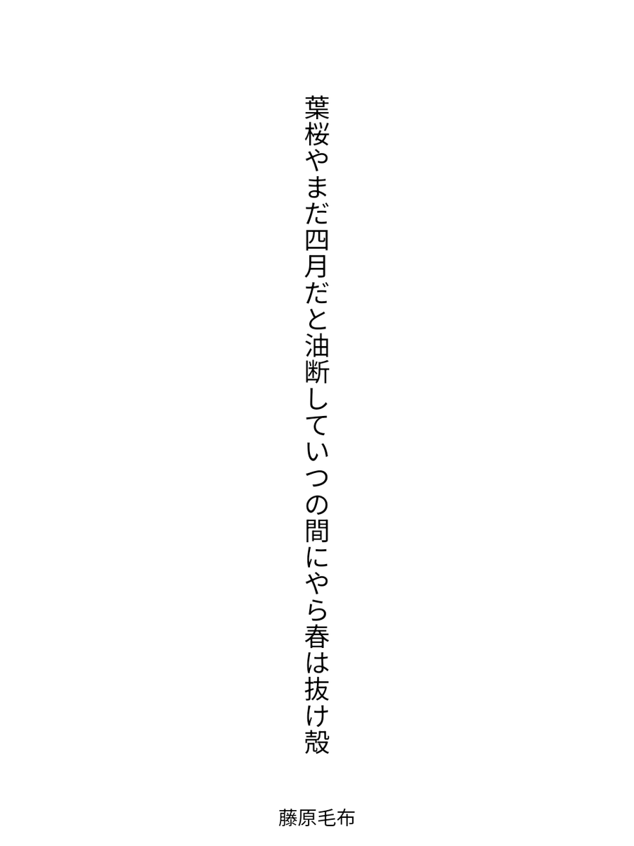 藤原毛布 tweet media