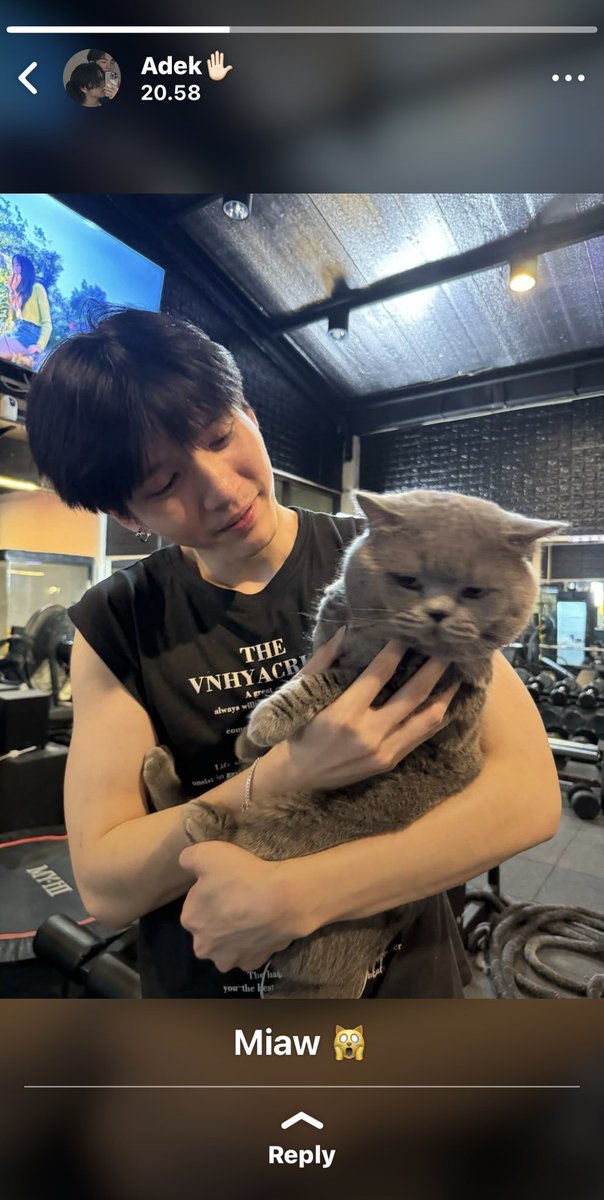 iyel – OFDO (kinda ia) tweet media