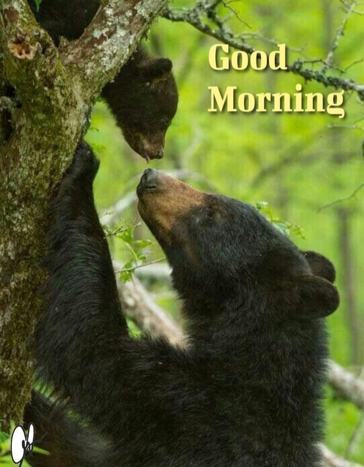 KarenWinslowJeffers tweet media