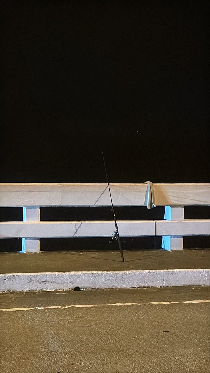 ตรัง tweet media