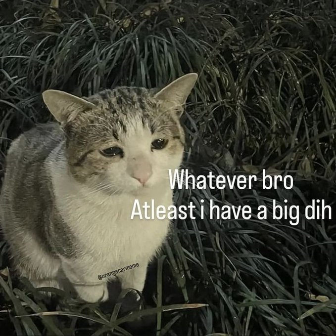 hlitoroy (opinion arc) tweet media