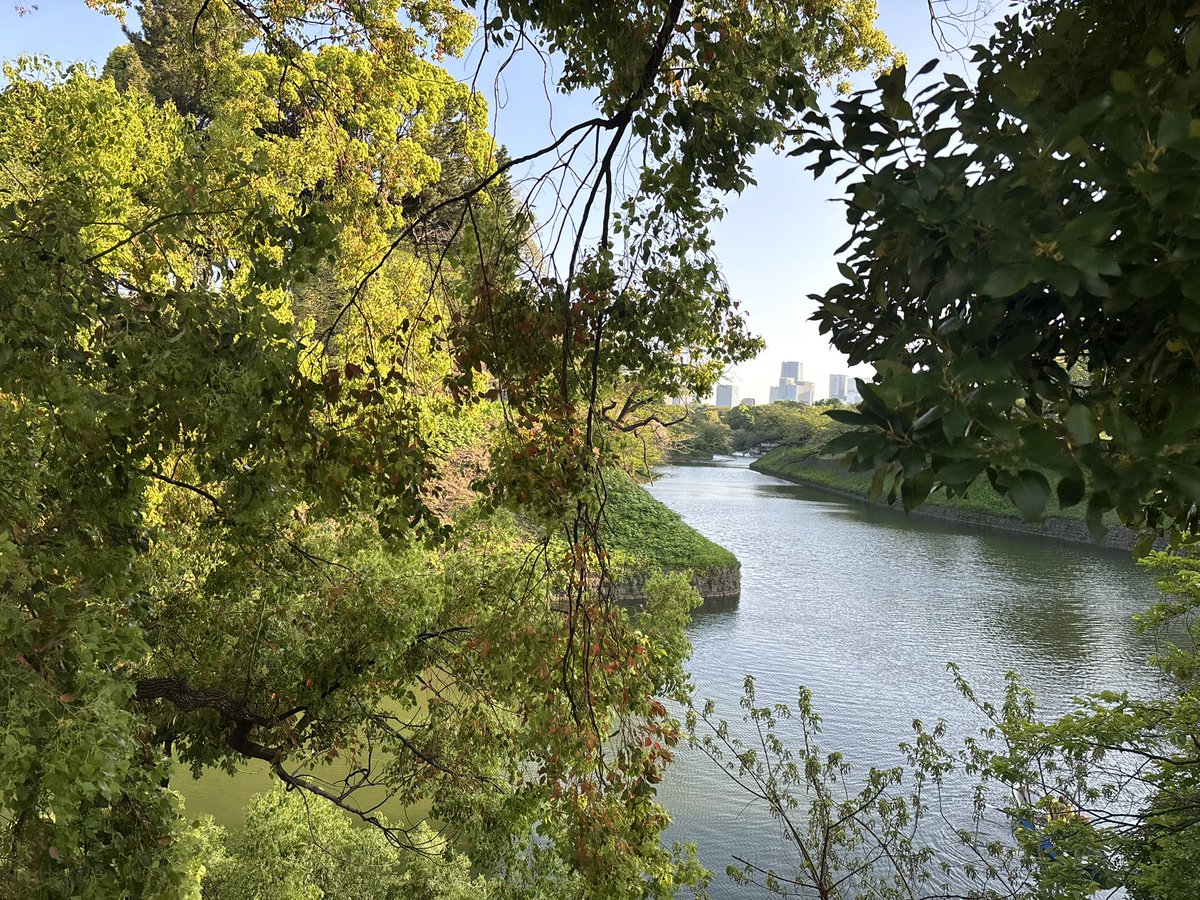 n_s_toppogi's tweet image. 【勉強記録　Day.15  04.15  (水) 】

⚫︎財理 Regular 9章　繰延 資産

日商簿記  1級まで    214日
短答式試験　まで      242日
論文式試験　まで　　491日

#公認会計士受験生 
#勉強垢　#cpa 
 #mytoppo