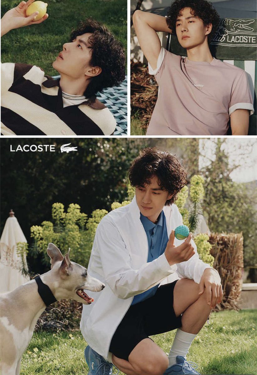 玲藍🌿 tweet media