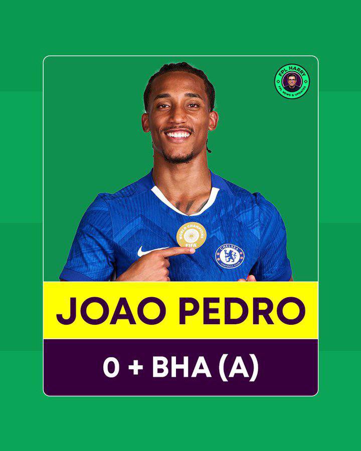 Ali amer tweet media