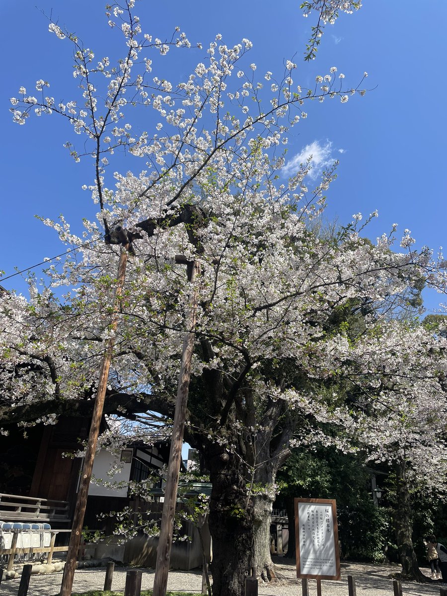 北野 わかな(きいろ) tweet media