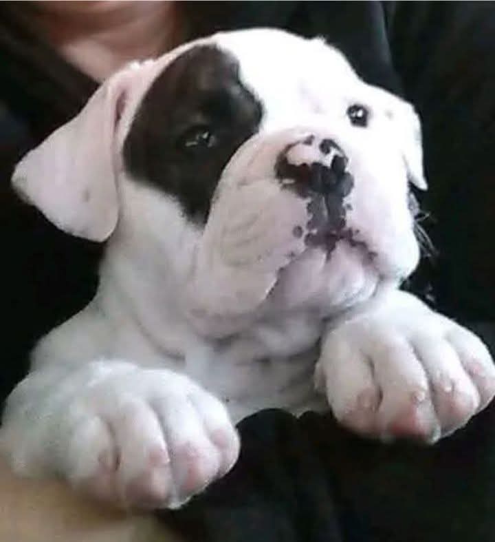 Sara Mary ⭐❤️ tweet media