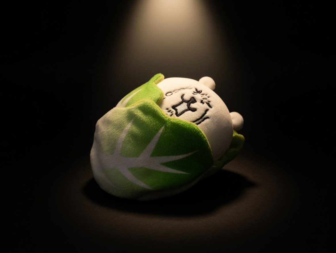 うわぁぁ白菜つめたいぃ