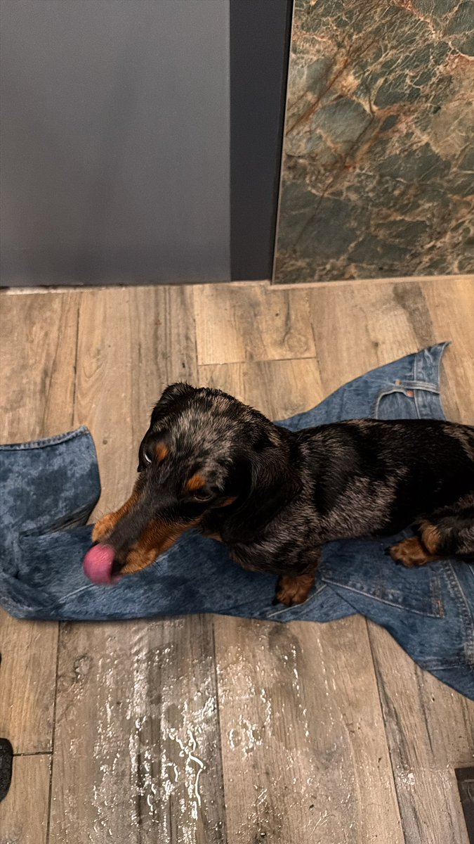 vdlelektrotechniek tweet media