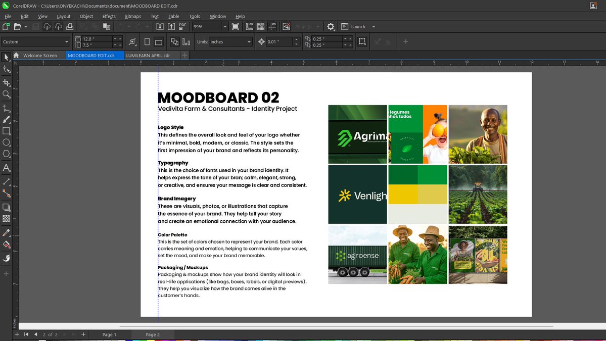 Working out moodboards 🎨