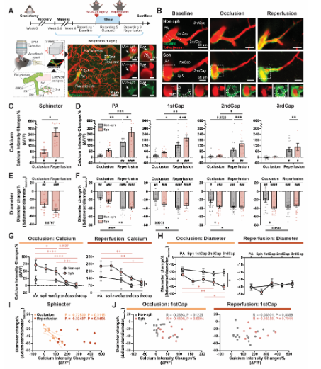 Ruslan Rust tweet media