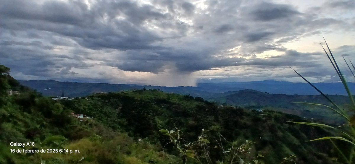 Uriel 23. tweet media