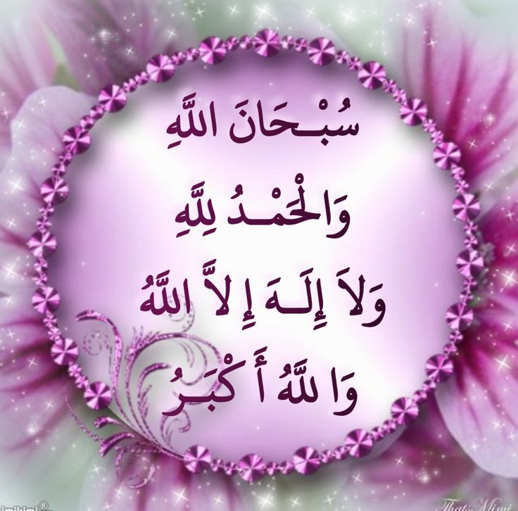 Halima Hm tweet media